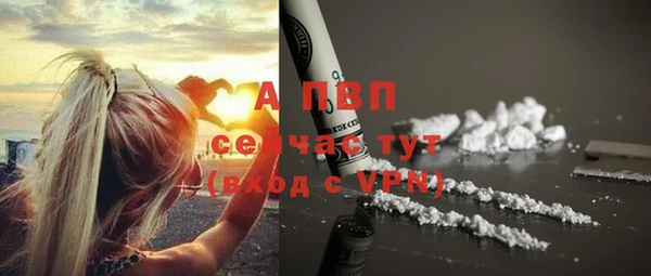 стаф Дмитровск