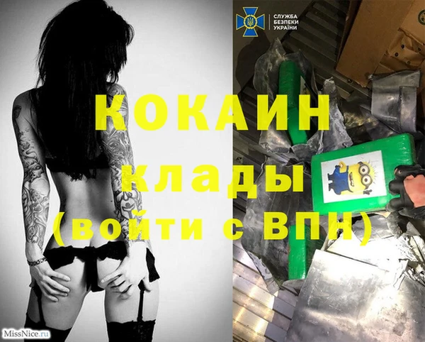 прущая мука Ельня