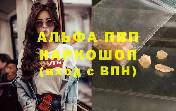 соль ск Дмитриев