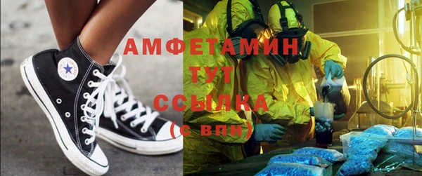 соль ск Дмитриев