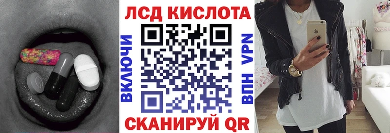 Купить закладки  Каргополь  Лсд 25 экстази ecstasy 