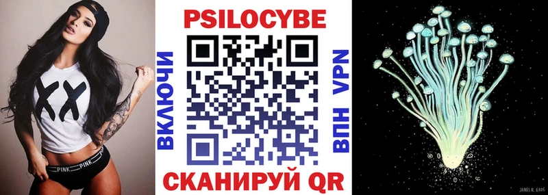 Купить закладки  Каргополь  Псилоцибиновые грибы MAGIC MUSHROOMS 